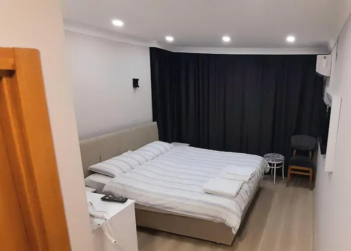 大号床房间